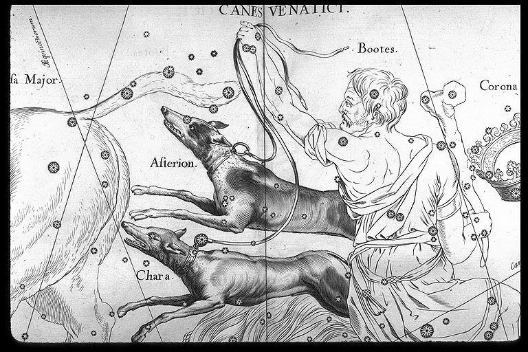 ursa major constellation. It belongs to the Ursa Major